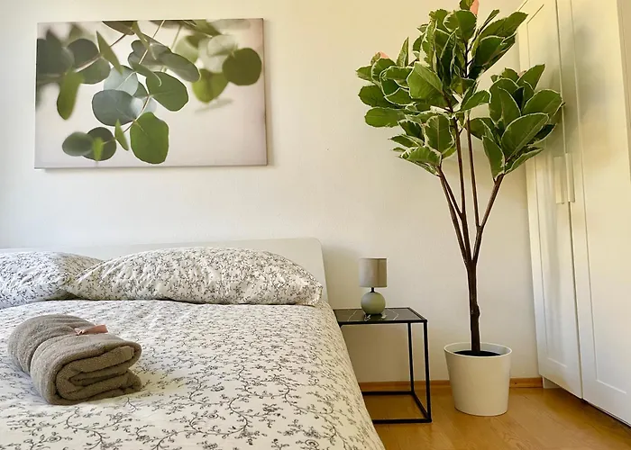 Apartment Spacious With Balcony & Free Parking